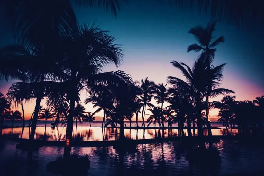 626 family honeymoon activities