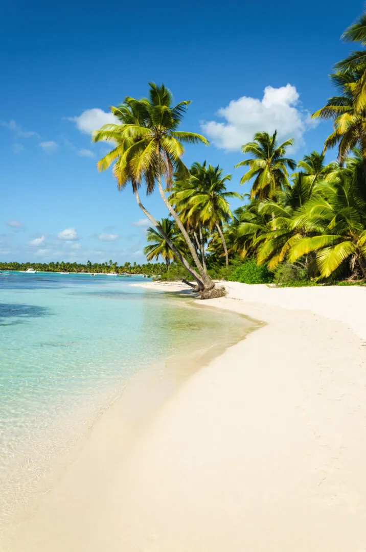 641 honeymoon couple beach