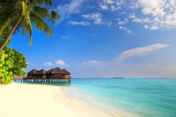 644 seychelles honeymoon