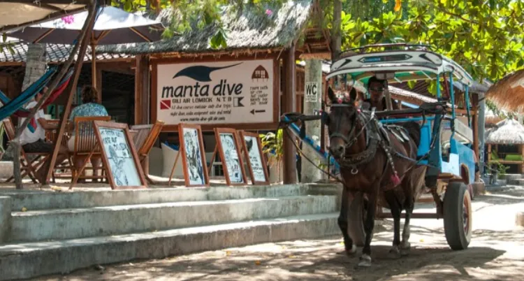 648 gili island diving