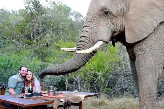 649 south africa honeymoon image4
