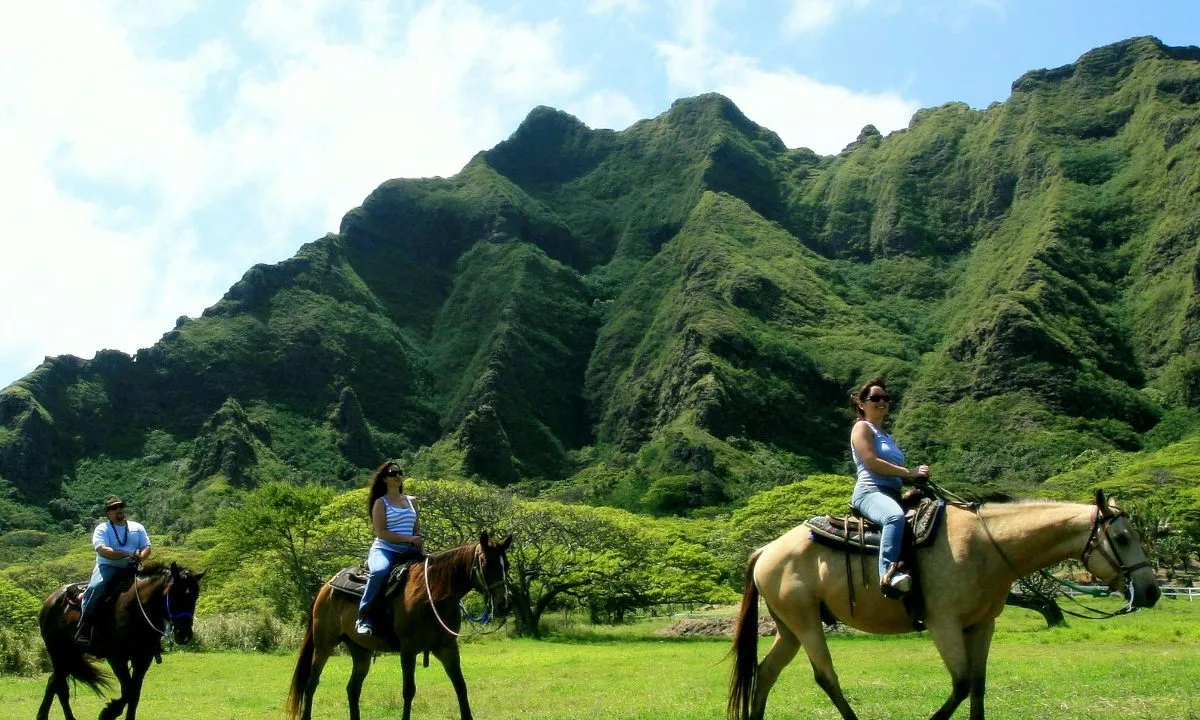 /img/650-big-island-honeymoon.webp