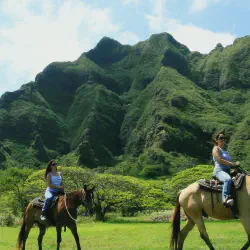/img/650-big-island-honeymoon.webp