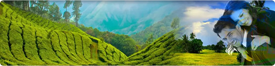 651 darjeeling romantic dinner