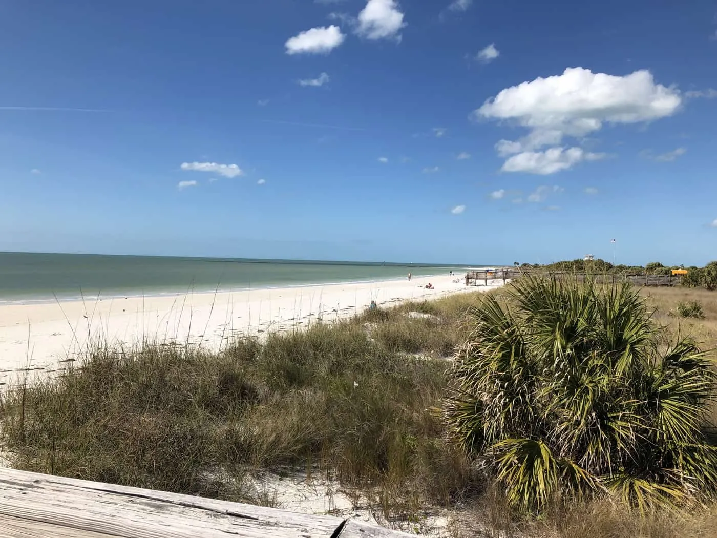 /img/653-honeymoon-island-map.webp