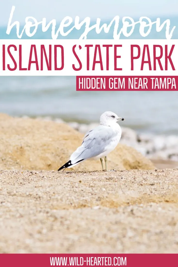 653 honeymoon island picnic