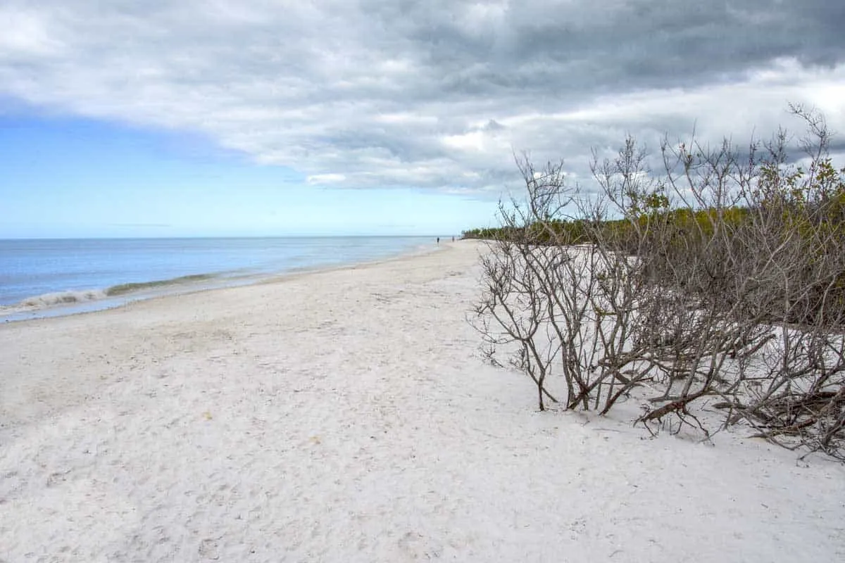 653 honeymoon island trails