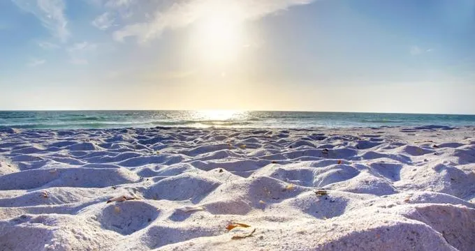 /img/659-miami-beach.webp