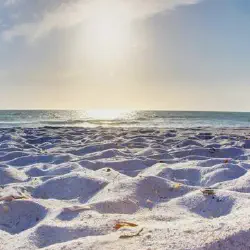 /img/659-miami-beach.webp