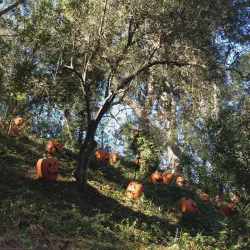 /img/668-disneyland-budgeting.webp