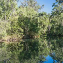 /img/669-honeymoon-private-pool-memories.webp