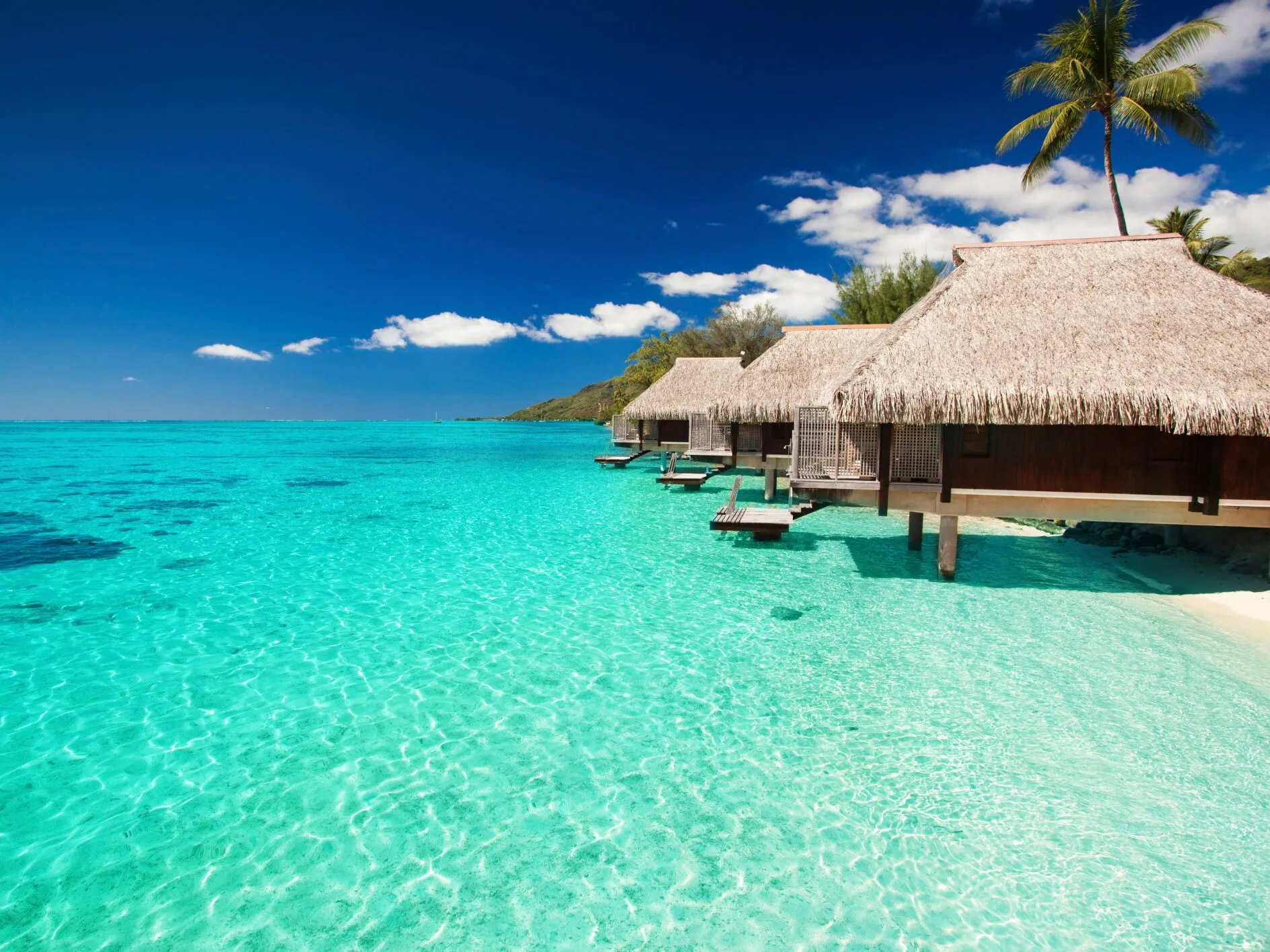/img/671-romantic-dinner-cruise.webp