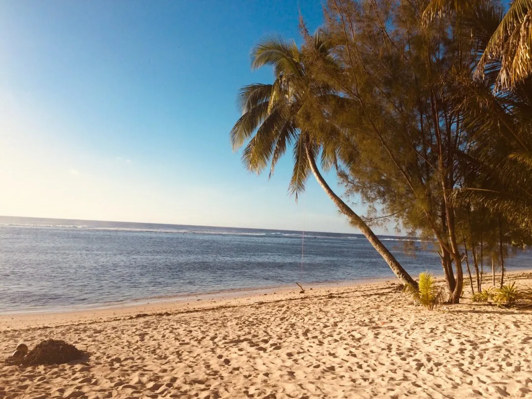 /img/676-tropical-beach.webp