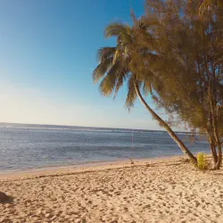 /img/676-tropical-beach.webp