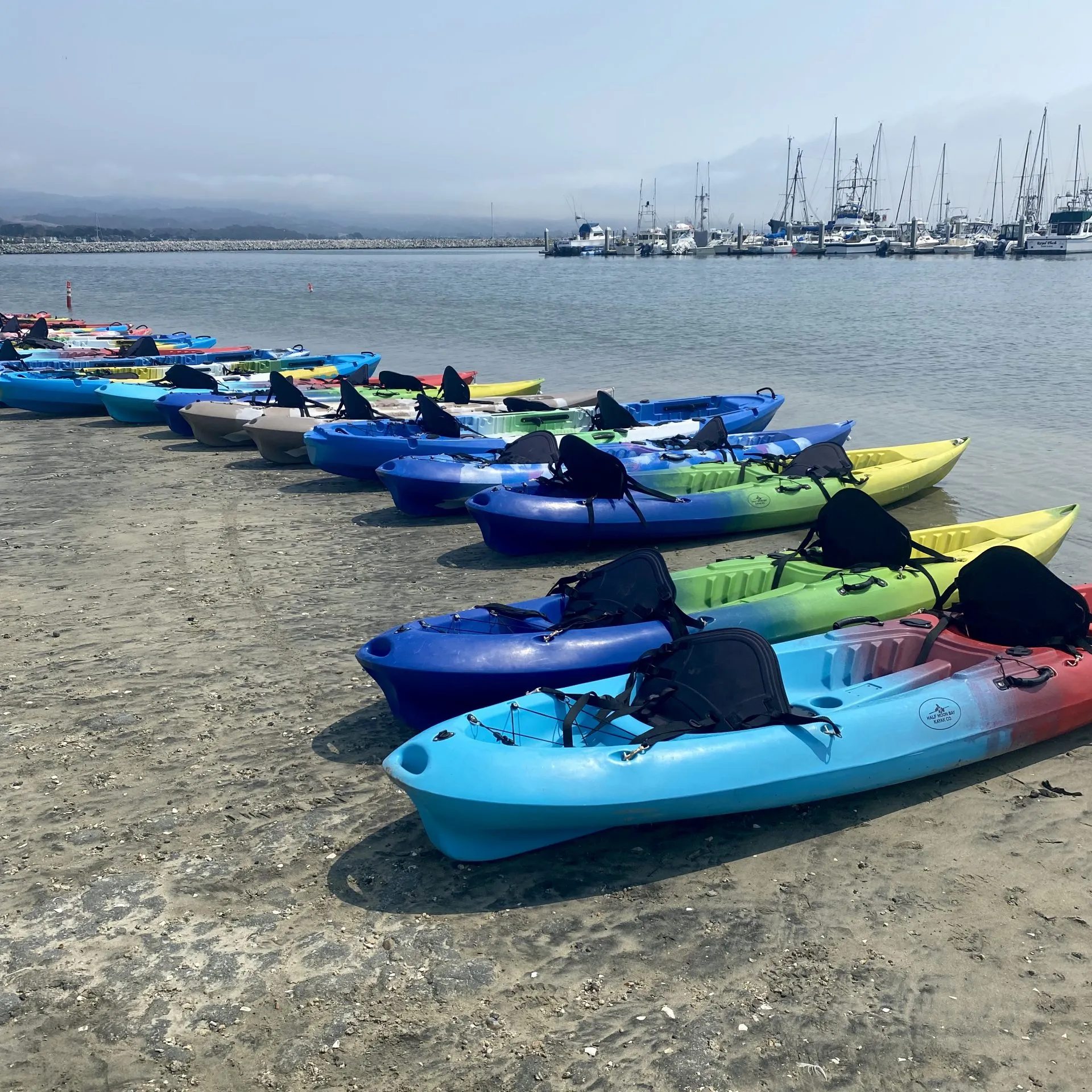 681 kayak rental terms