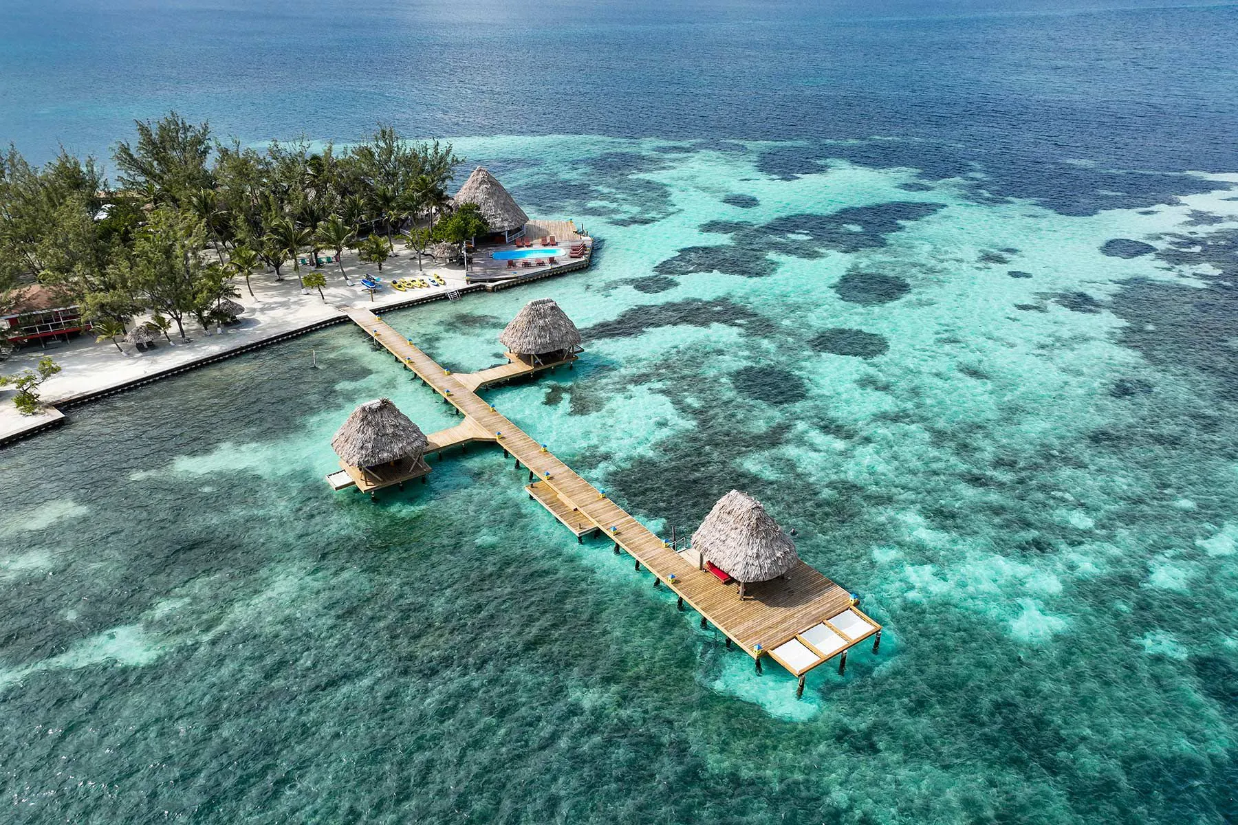 685 honeymoon couple dining