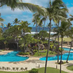 /img/688-hawaii-packing-essentials.webp