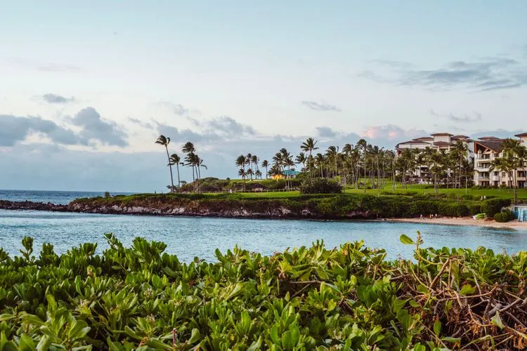 692 maui honeymoon
