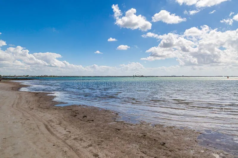 704 honeymoon island beach