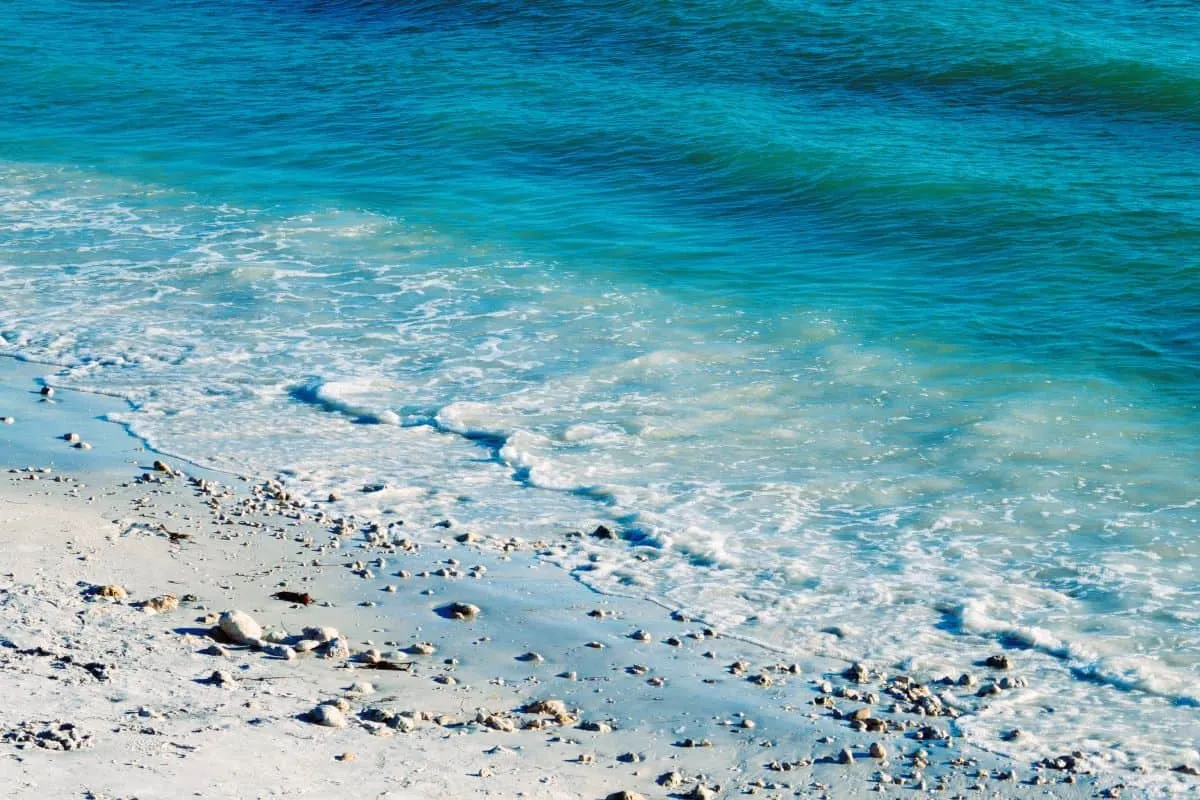 /img/704-honeymoon-island-map.webp