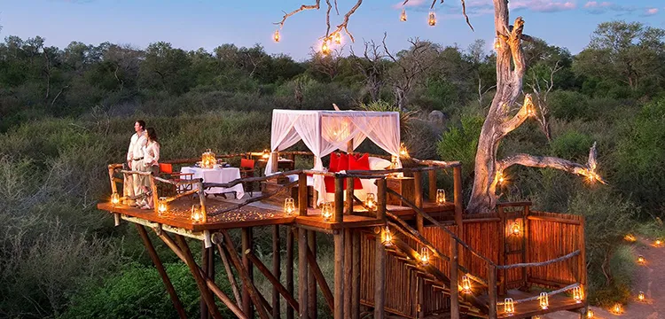 714 south africa honeymoon safari
