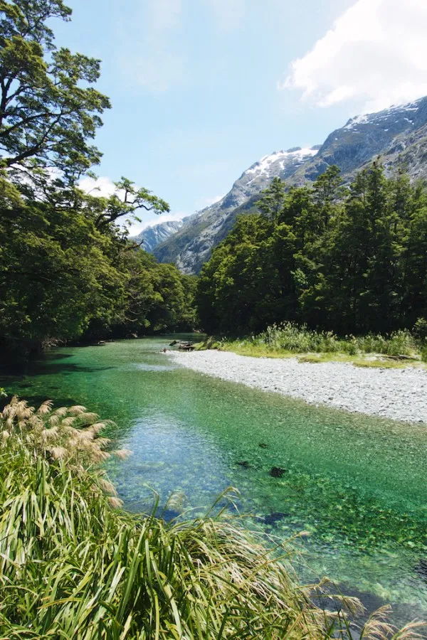 /img/718-south-island-scenic-drive.webp