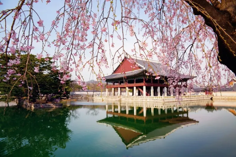 725 gyeongju honeymoon