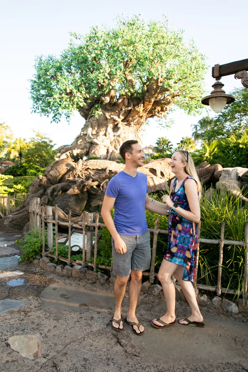 732 disney world romantic dinner